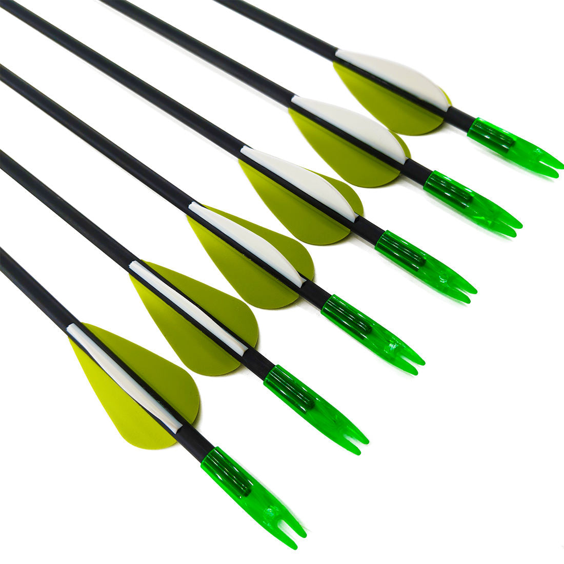 12pcs 31.5 Inch Carbon Composite Arrows 4.2mm ID with Steel Tips Plastic Vanes