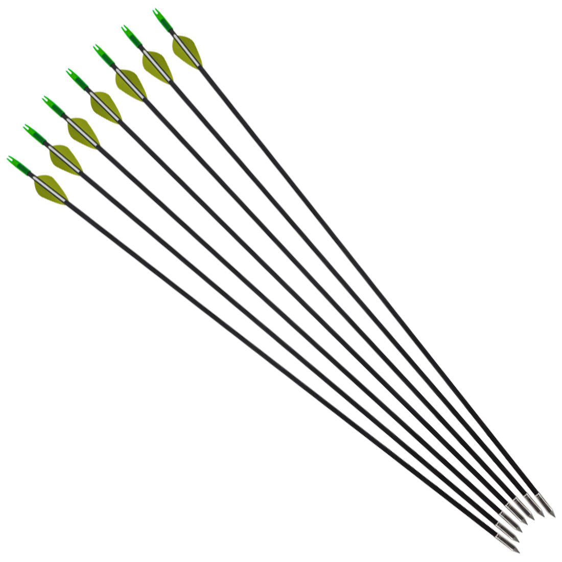 12pcs 31.5 Inch Carbon Composite Arrows 4.2mm ID with Steel Tips Plastic Vanes